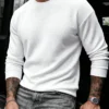 6ad2ef9c5cc1c.webp Men's Casual Daily Commute Versatile Textured Solid Color Crew Neck Top